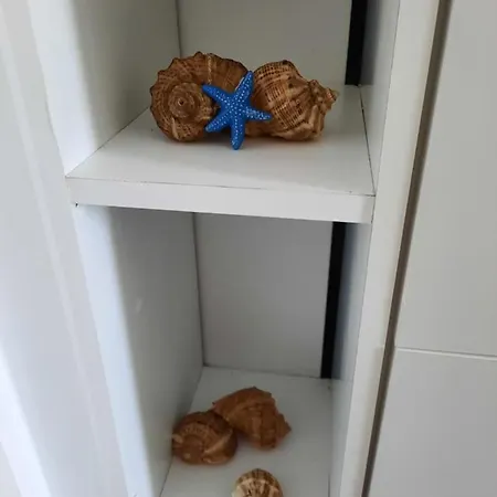 Turcoaz Apartament Apartment